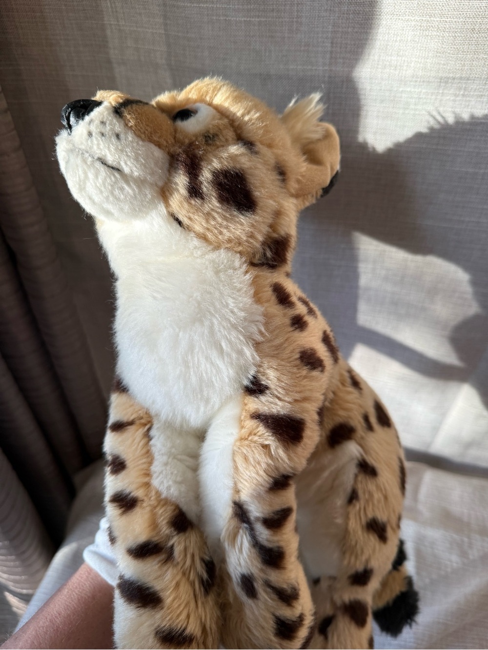2017 SOS Save Our Space Serval Plush Rare Discounted – Collectible Big Cat - Picture 9 of 16